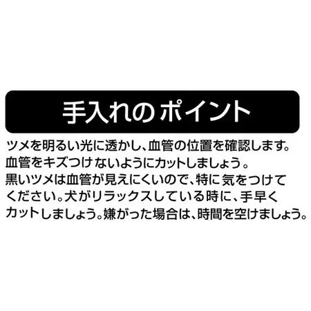 Porta ポルタ ネイルカーブカッター ストッパー付 | ペティオ Porta ポルタ ネイルカーブカッター ストッパー付 | ペティオ