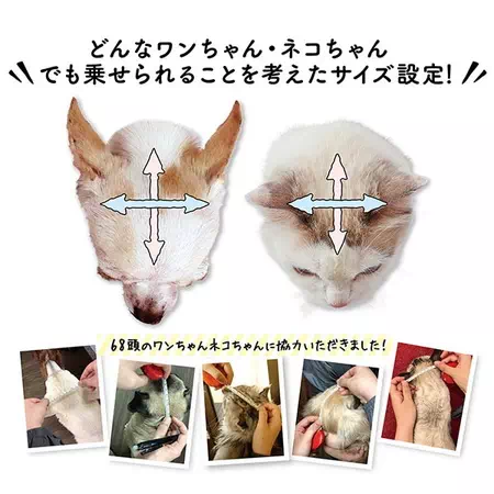 ペティオPetioのせぐるみは68頭のワンちゃんネコちゃんに協力いただきました
