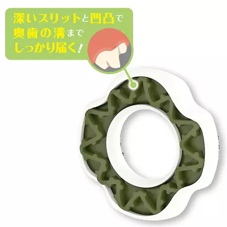 ペティオかんでるリングデンタルハードは奥歯の溝までしっかり届く