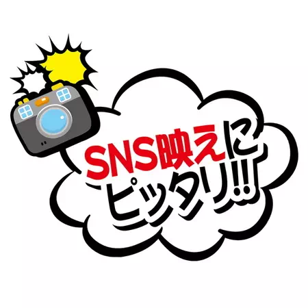 キャラペティ ワンピース One Piece なりきりキャップ チョッパー Petio ペティオオンラインショップ キャラペティ ワンピース One Piece なりきりキャップ チョッパー Petio ペティオオンラインショップ