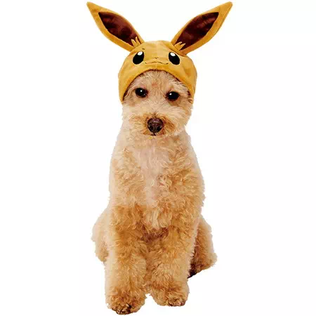 ポケットモンスター Pokemon ポケモン 変身ほっかむり イーブイ Petio ペティオオンラインショップ