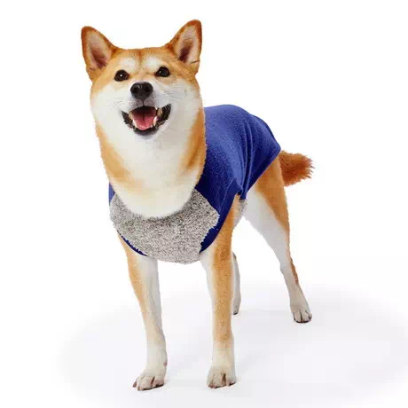 犬用ウェア抗菌防臭 E Stretch イーストレッチ おなかウォームトレーナーawv ファントムブルー ｍ Petio ペティオオンラインショップ