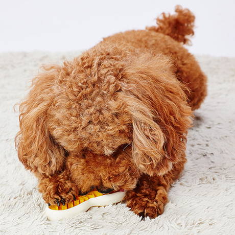 ペティオPetio超小型犬用おもちゃ噛んでるボーンデンタルケアＭSハード厚切りベーコンフレーバーは奥歯の溝までしっかり届く