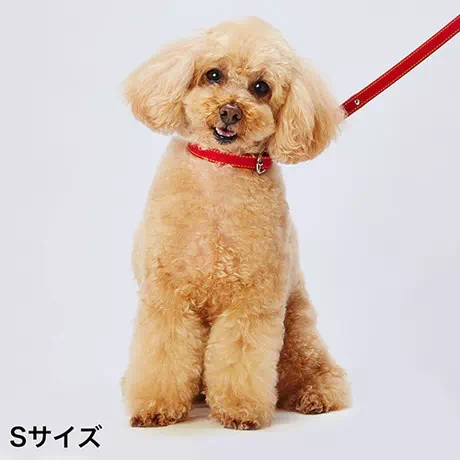 Petio Dog Collar Porta Porta Synthetic Leather Soft Leather Color S 15mm Red Small dogs are pin buckle type
