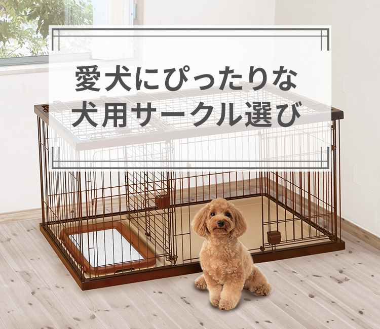 愛犬にぴったりな犬用サークル選び Petio ペティオ