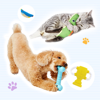 おもちゃで遊ぼ♪