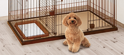 犬の飼い方 子犬を飼う前に必要な準備や便利グッズ Petio ペティオ