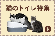 猫のトイレ特集
