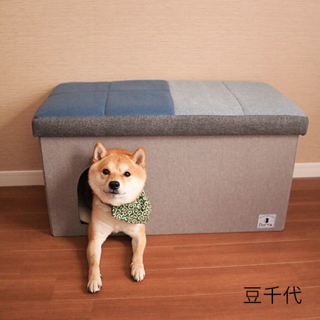 Myo Chiyo