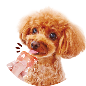 kawaiku_dog