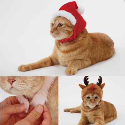 メリークリスマス04
