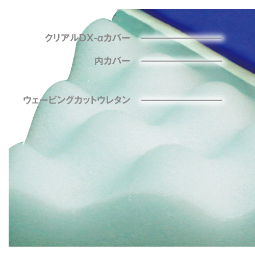 cool2019_08