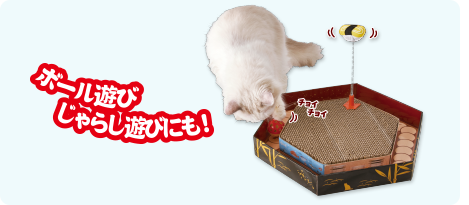 つめみがき・じゃらしセット