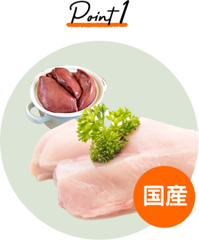 ポイント1