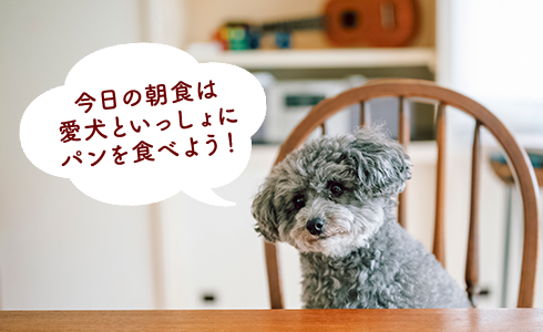 dog_pan