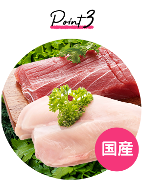 meaty_cat_fuwa_point3