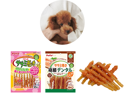 sasami_mini_pointo
