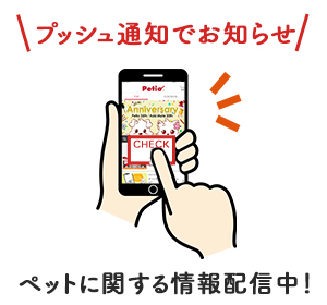 app_point2