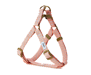 2022ss_flash_soft_harness_pink