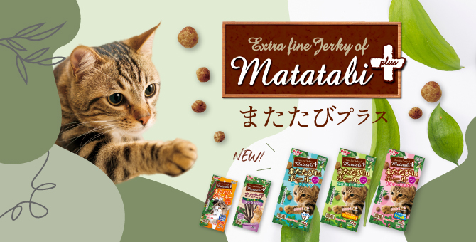 ショップ ヒルズ 猫用 w d 消化 体重 糖尿病の管理 ドライ 4kg 療法食 キャットフード ごはん エサ 食事 病気 治療 病院 医療 食事療法  健康 管理 栄養 fucoa.cl