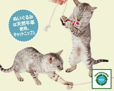natural-earth-toy_cat02