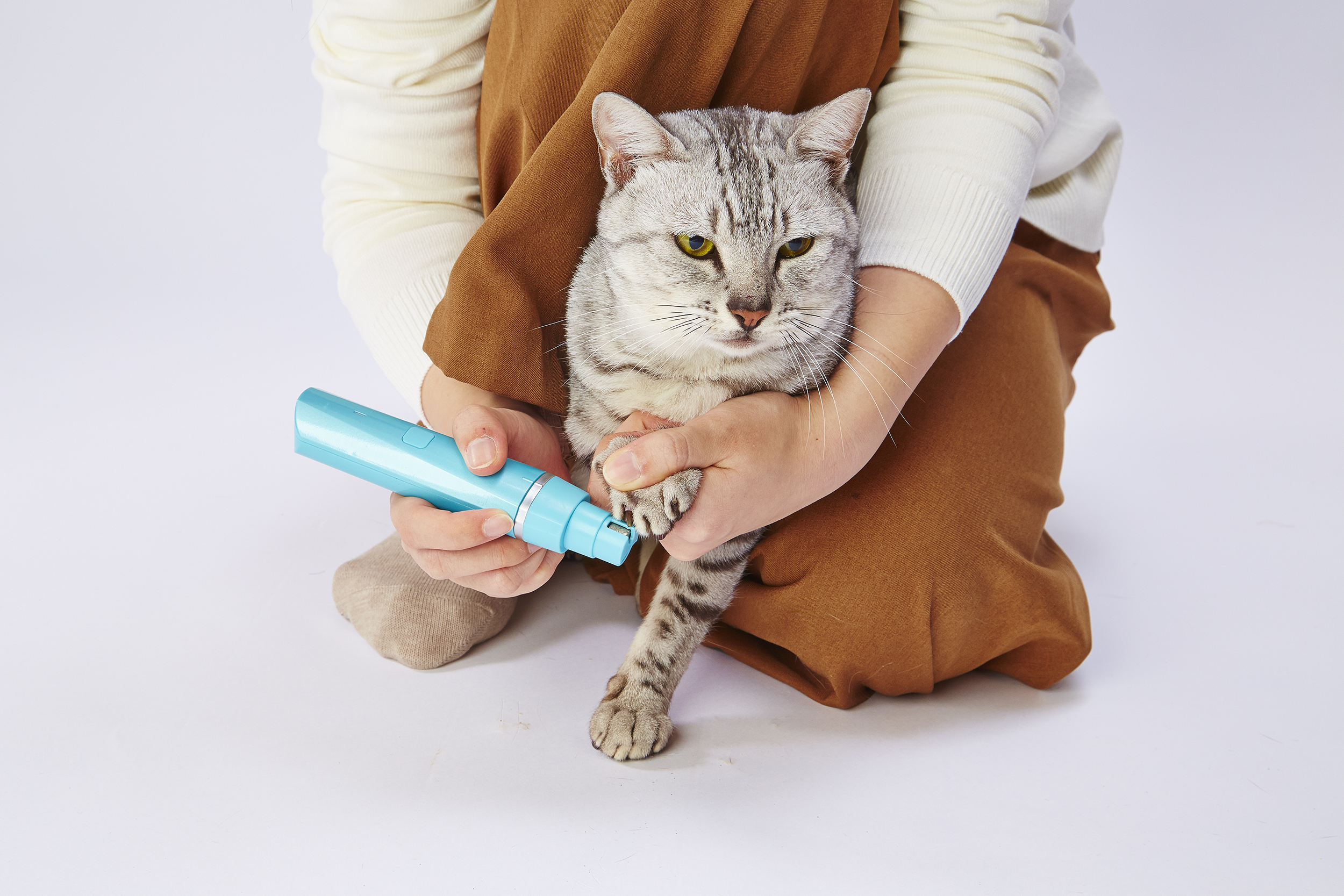 獣医師監修 猫の爪切りをするには 爪の切り方のコツを紹介 Petio ペティオ