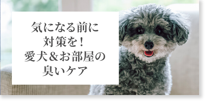 犬の臭い対策