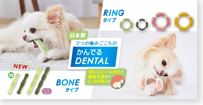 かんでるDENTAL