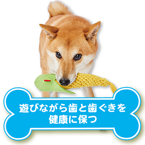 あんでる4