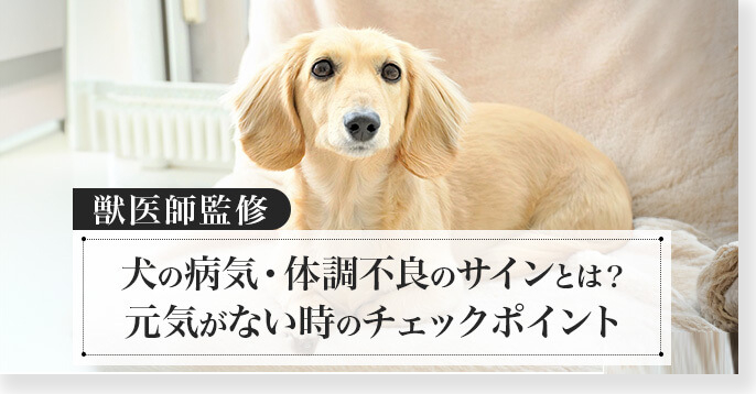 ワンちゃんの体調不良のサイン