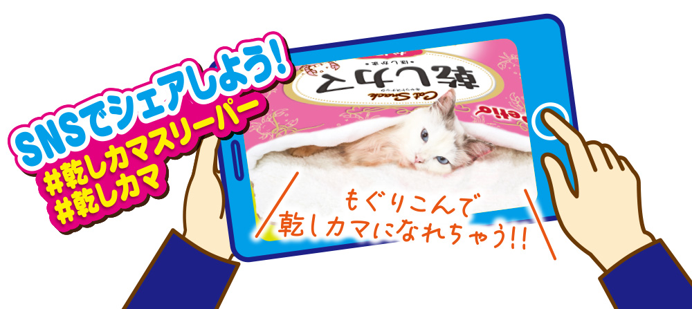 乾しカマベッド 特長3