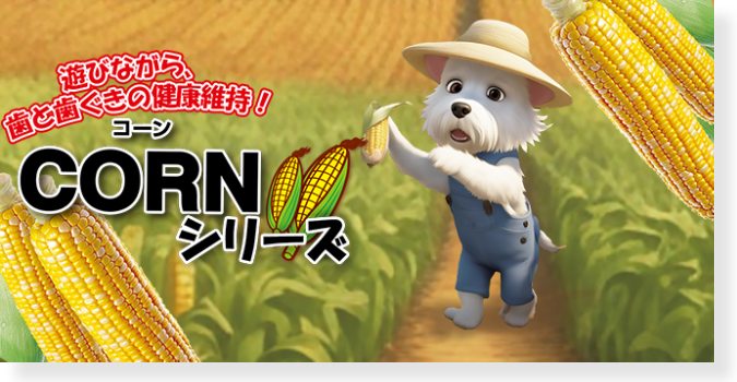 CORNシリーズ