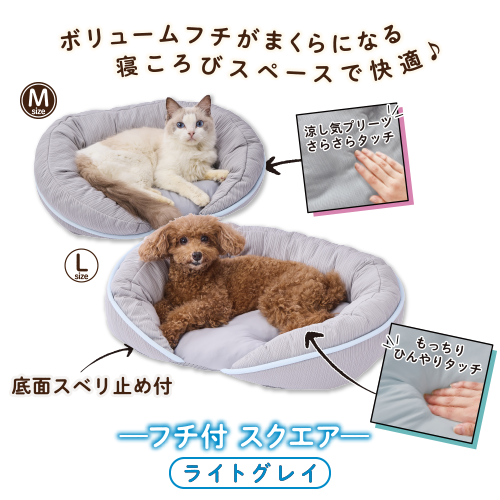 bed1