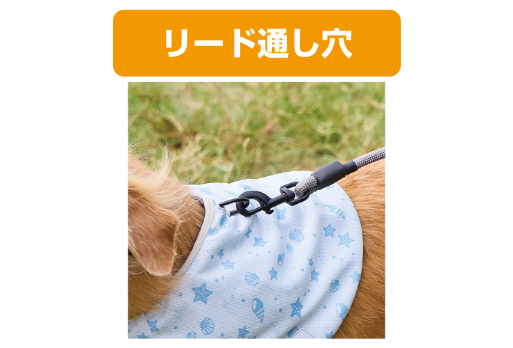 poncho3