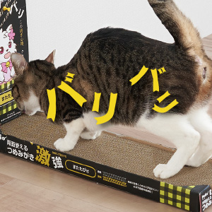 つめみがき2