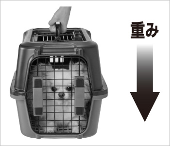 キャリー4