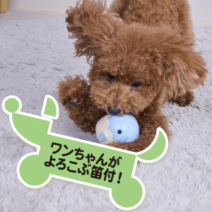 べビたん1