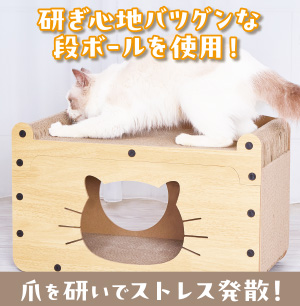 つめハウス1