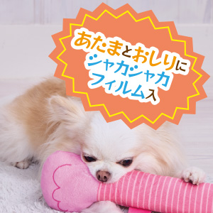 プイプイ2