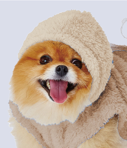 イーストレッチ フード