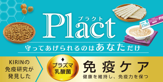 Plact｜プラクト DOG | Petio[ペティオ]