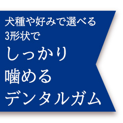 しっかり噛める