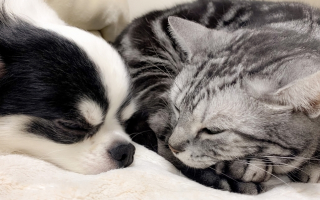 sozaisonomama_point1