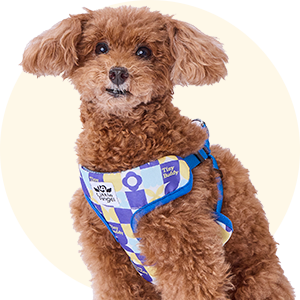 la-ハーネス特長