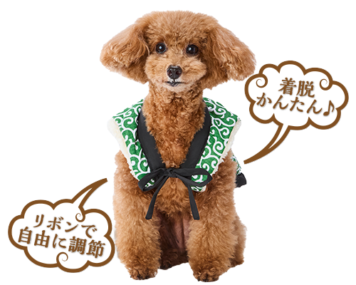inumiyabi-wear-01