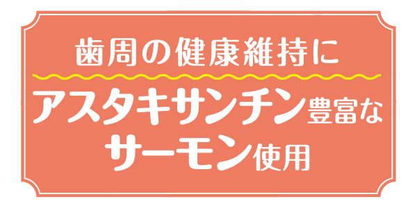 dental-salmon_point1