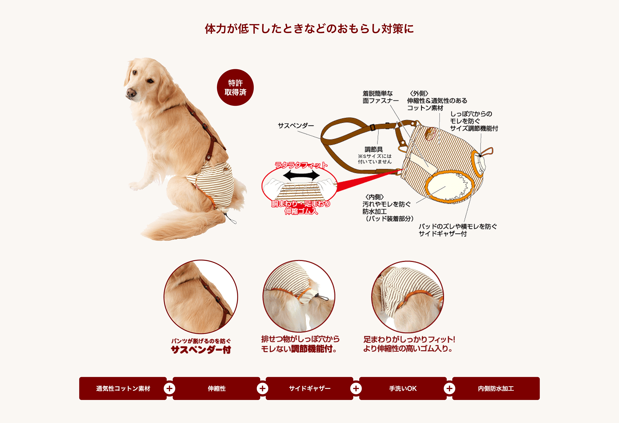 体力が低下したときなどのおもらし対策に