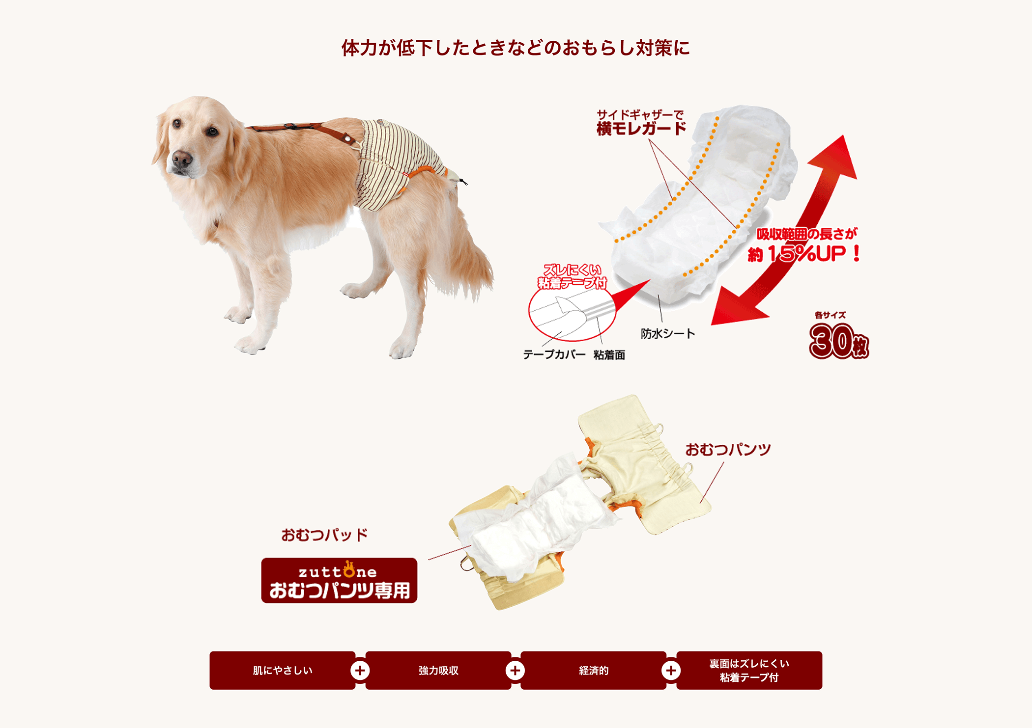 体力が低下したときなどのおもらし対策に