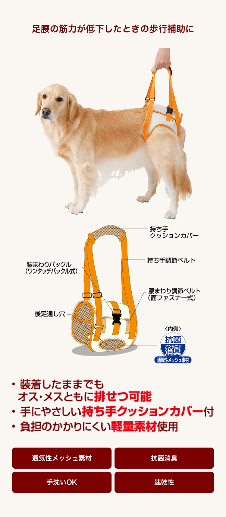 散 歩 | Petioのシニアライフサポートシリーズ｜zuttone（ずっとね）